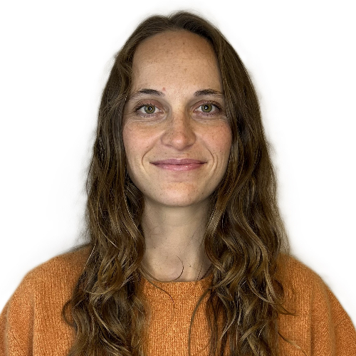 teacher avatar