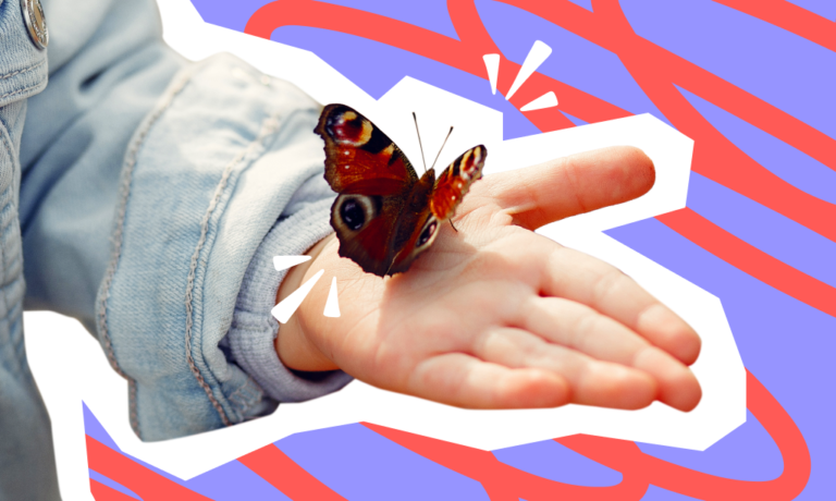 איך להסביר לילדים על חרקים | פוביה מחרקים