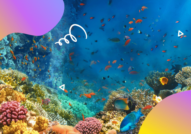 שוניות אלמוגים: חשיבותן הבלתי-נתפסת והפאר התת-ימי של ישראל