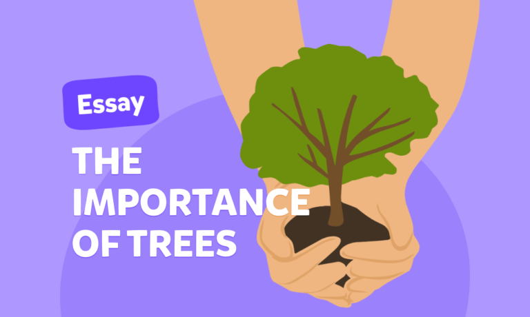 Essay „The importance of trees” – esej po angielsku dla dzieci o naturze i środowisku