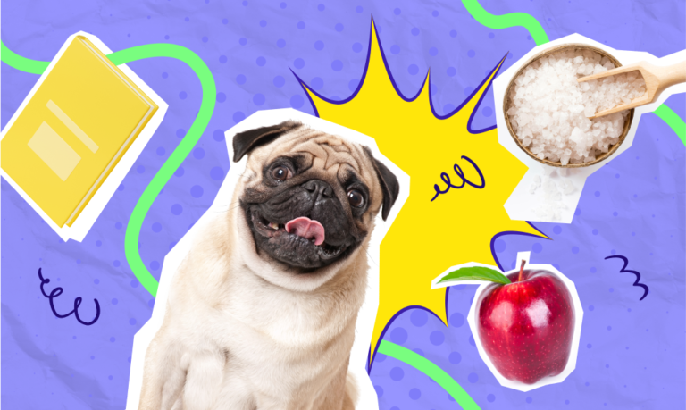 Rzeczowniki policzalne i niepoliczalne – angielski w pigułce