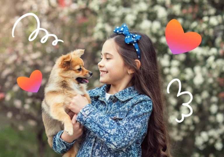 Rase de câini britanici pe care nu ai cum să nu le iubești – ghid complet pentru iubitorii de animale