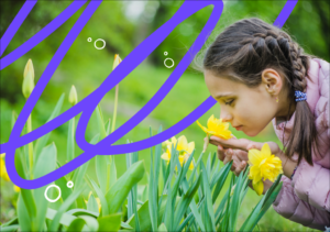 50 de expresii despre primăvară în engleză